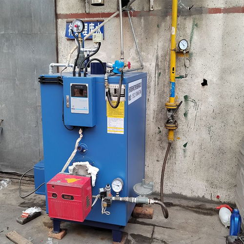 立浦熱能120kg燃氣蒸汽發生器 食品加工配套 工業蒸汽燃氣鍋爐lss0.12 0.7 y.q 谷瀑環保