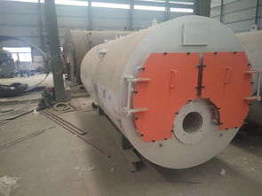 浴池專用鍋爐報(bào)價(jià) 廠家