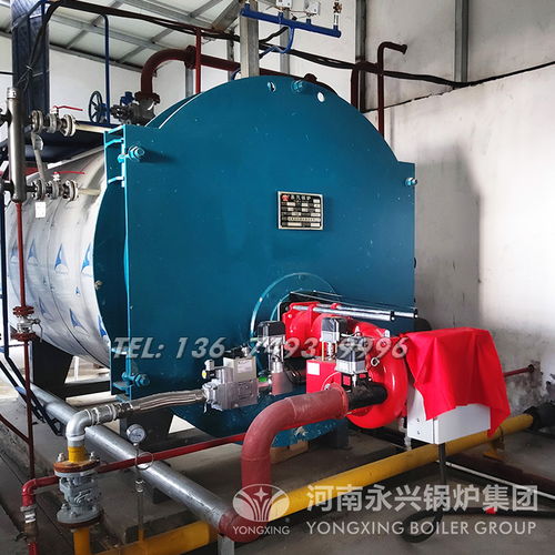 【釀酒食品化工-工業燃氣蒸汽鍋爐_燃氣鍋爐廠家】-