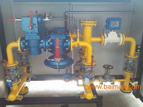 遼寧朝陽RTJ 50 1.6S型燃氣調(diào)壓器 生產(chǎn)廠家與價格解析